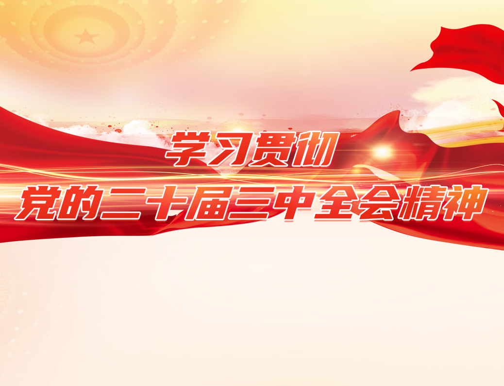 學(xué)習(xí)貫徹黨的二十屆三中全會(huì)精神