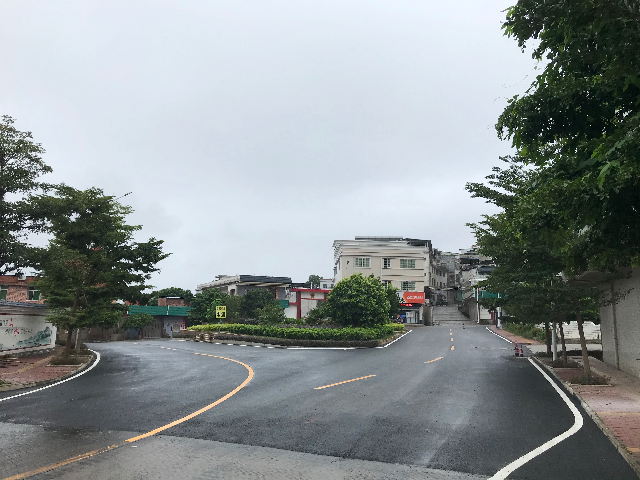 已編輯圖片