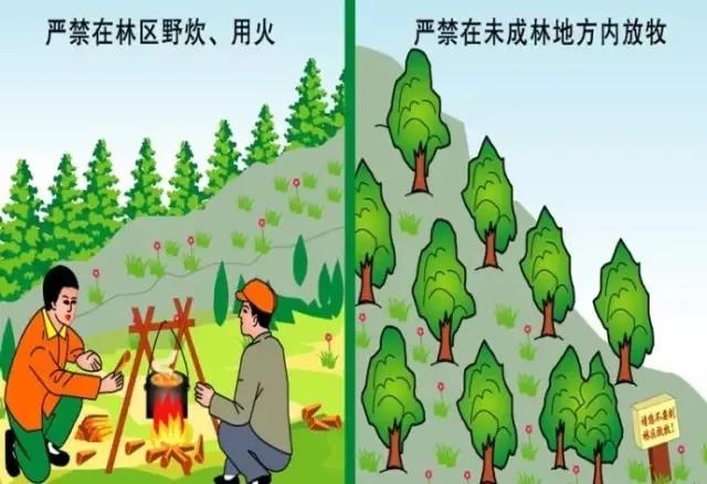 微信圖片_20201114215527.jpg