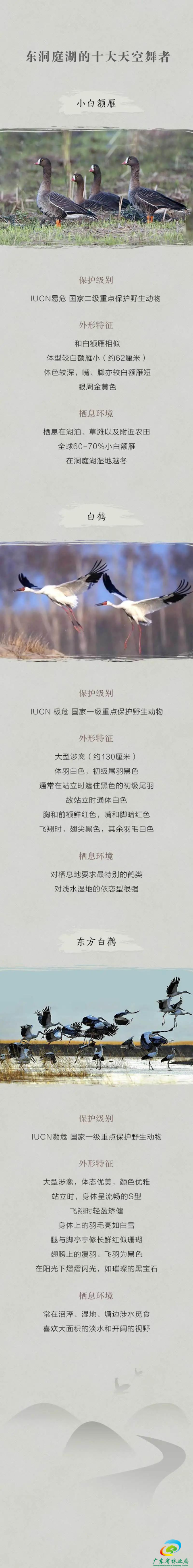 已編輯圖片