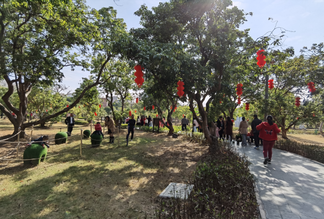 已編輯圖片