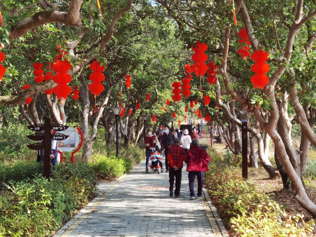 已編輯圖片