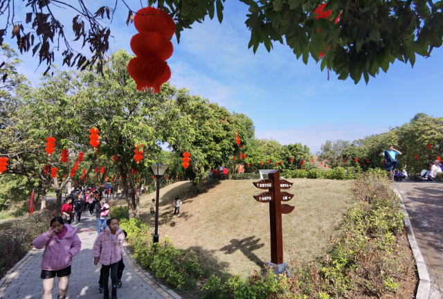 已編輯圖片