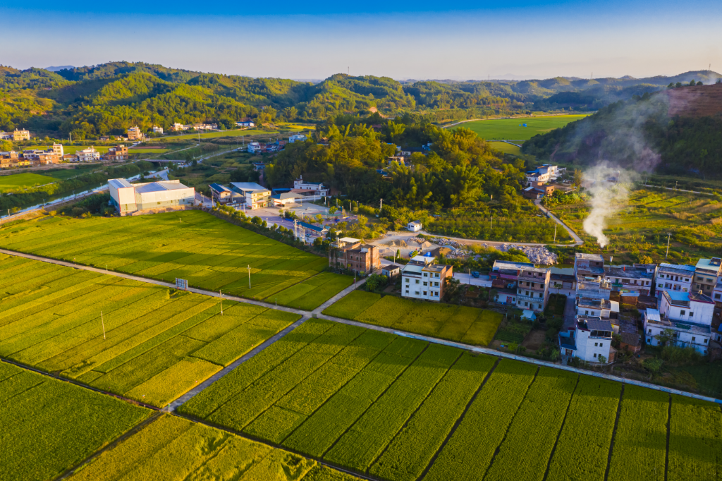 《希望的田野》——曾平攝.jpg