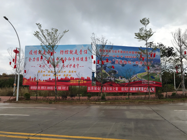 已編輯圖片