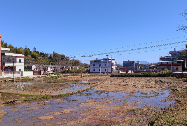 小豐.jpg