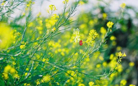 【網(wǎng)絡(luò)中國節(jié)·清明】文化傳承要站在時代的風(fēng)口之上