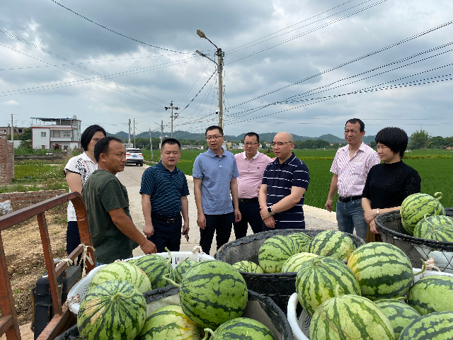 已編輯圖片