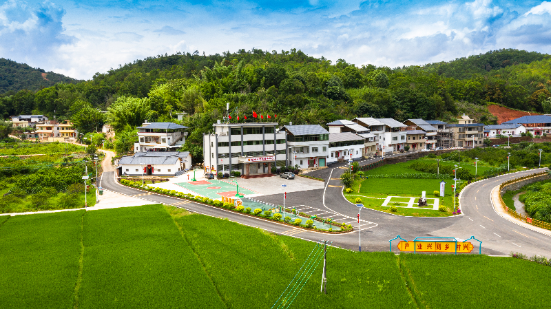 徑南鎮(zhèn)新洲村.jpg