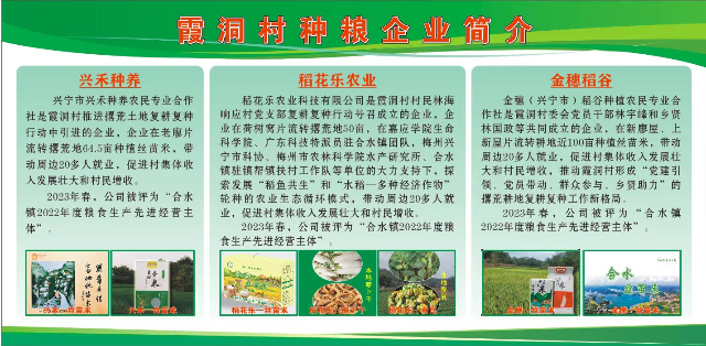 已編輯圖片