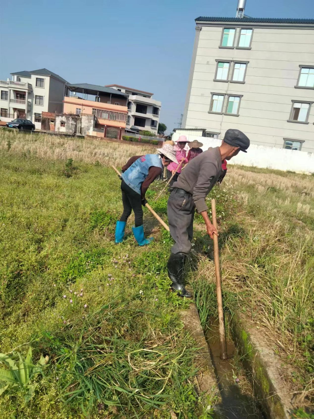 東紅村黨支部組織黨員、群眾清理水渠.png