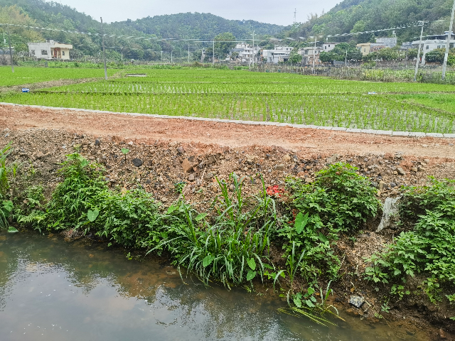 已編輯圖片