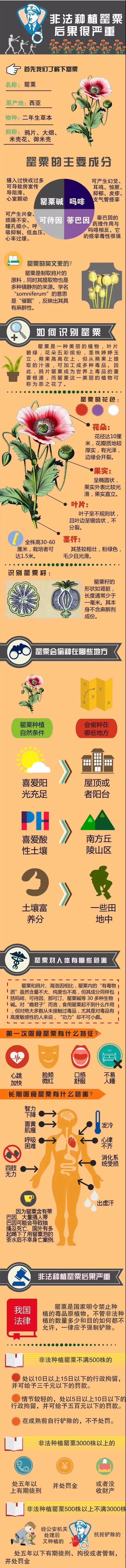 微信圖片_20200407172105.jpg