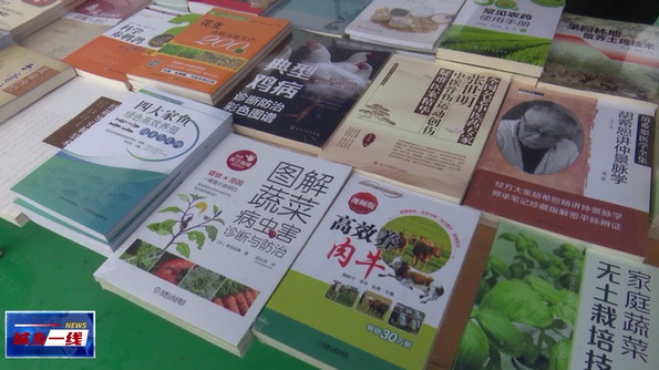 圖片