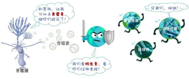 圖片