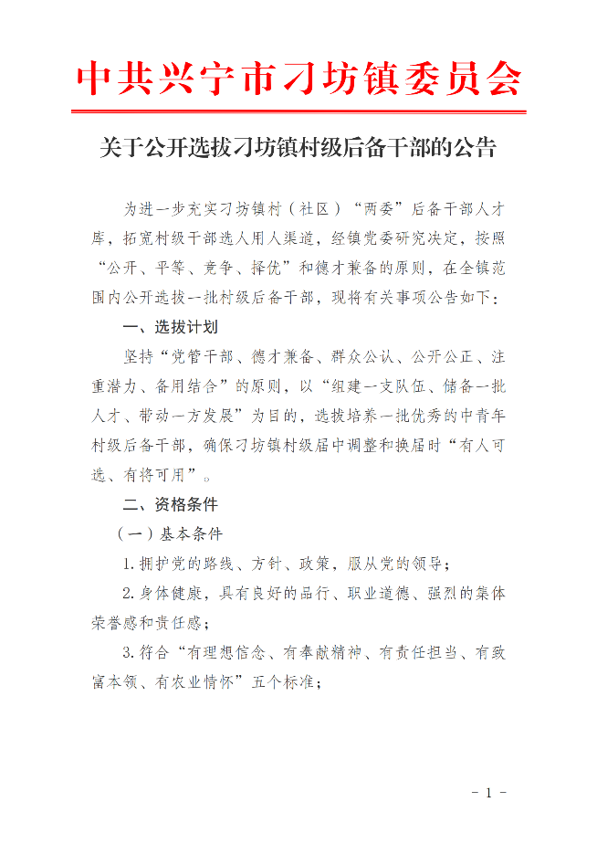 刁坊鎮(zhèn)公開選拔村級后備干部的公告_00.png