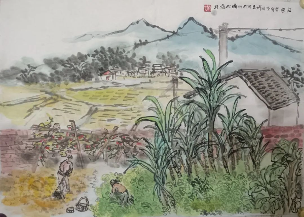 圖片