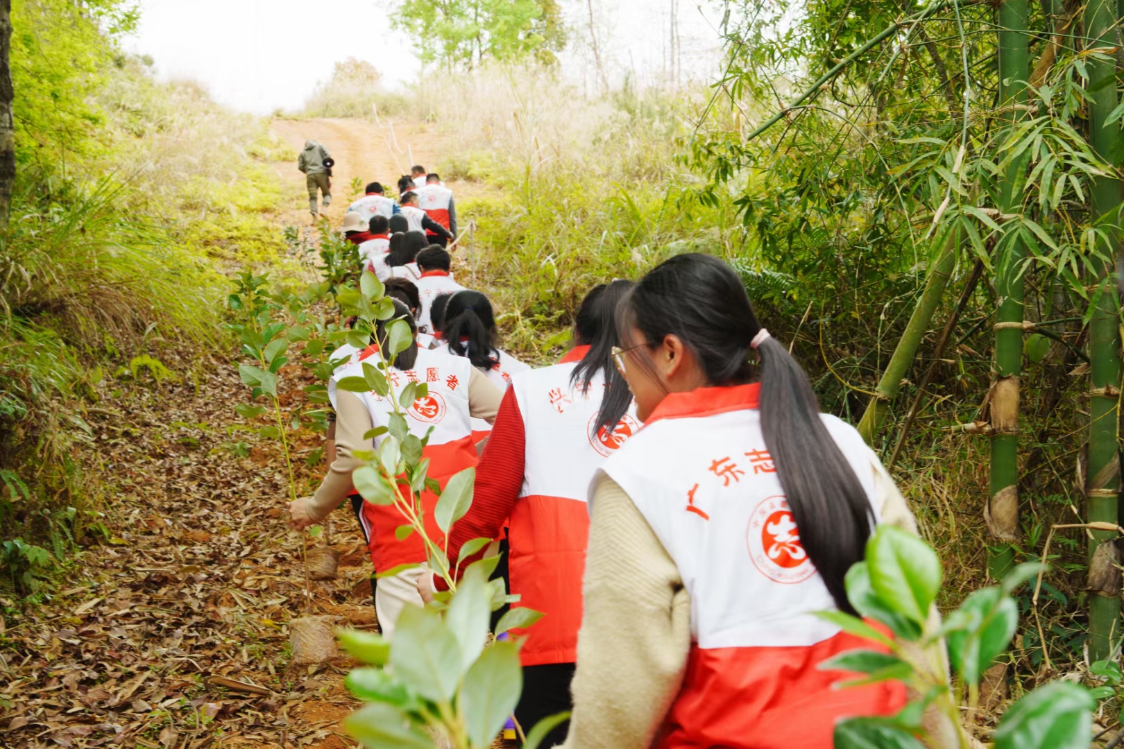 “巾幗林”種植活動(dòng)圖.jpg
