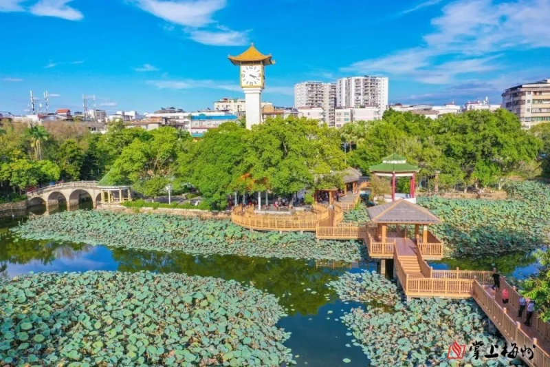 圖片