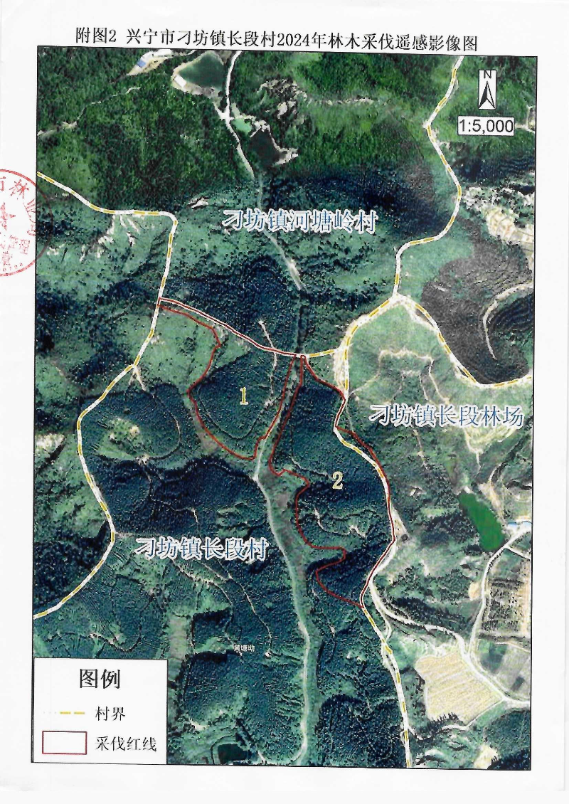 伐前公示_0002.jpg