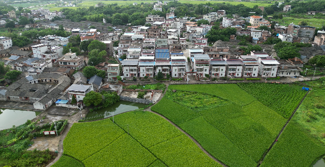 已編輯圖片