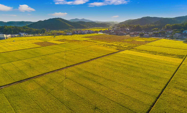 大坪圖片2.jpg