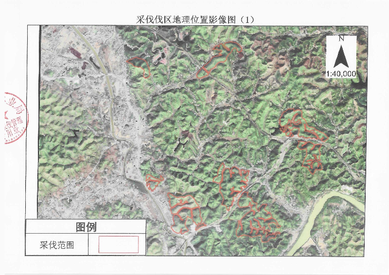 伐前公示_0006.jpg