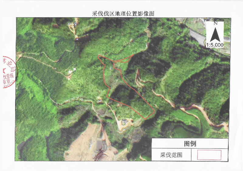 伐前公示_0002(3).jpg