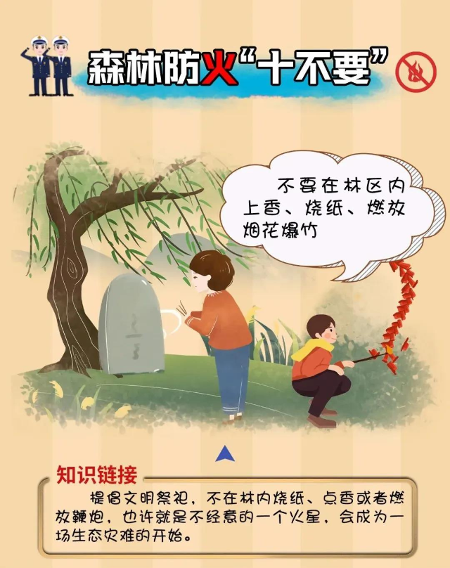 已編輯圖片