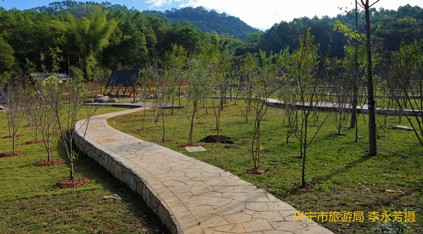 百花園一角.jpg