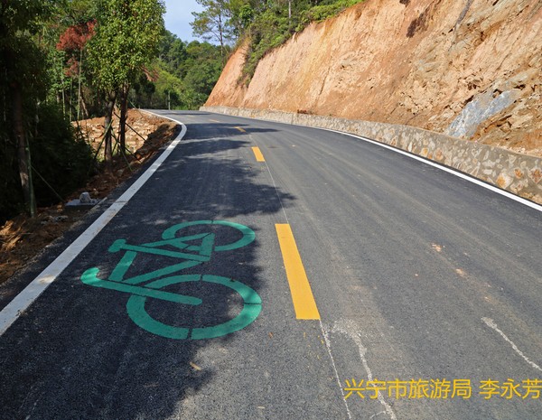 后山自行車登山道.jpg