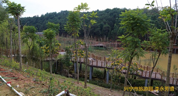 南山湖九曲橋.jpg