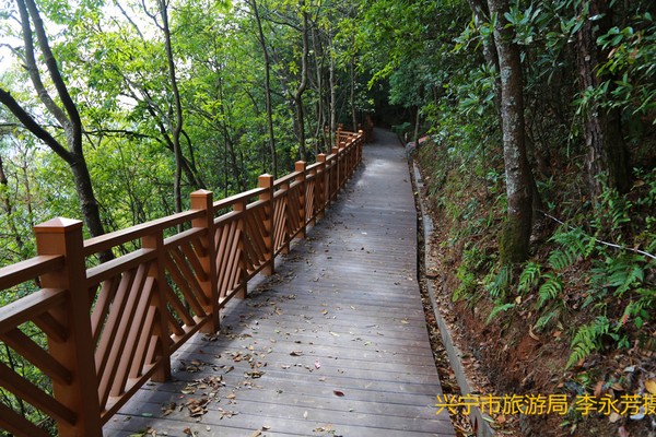 神光山山頂棧道1.jpg