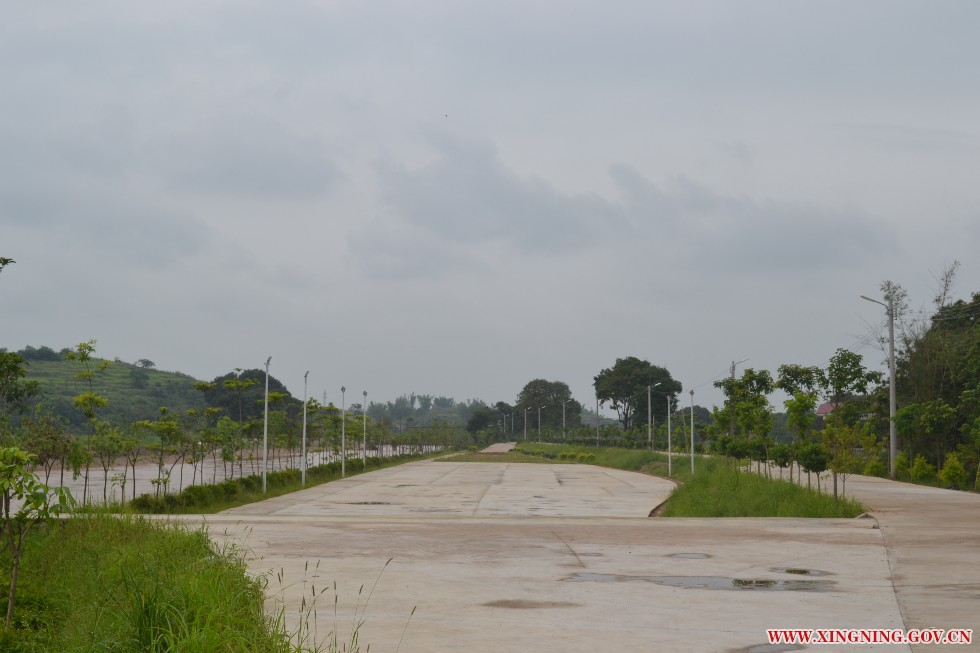 美麗鄉(xiāng)村-溪唇堤路悠閑長(zhǎng)廊.JPG