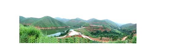 精致高效農(nóng)業(yè)泰獅油荼基地全貌.jpg