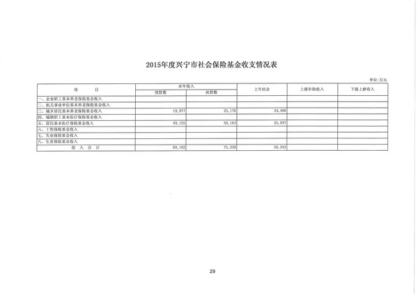 2015年度興寧市社會保險基金收支情況表29.jpg
