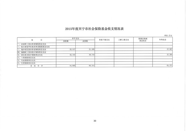 2015年度興寧市社會保險基金收支情況表30.jpg