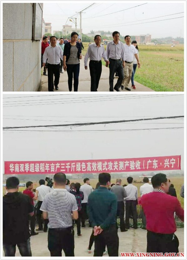 QQ圖片20161119225638.jpg