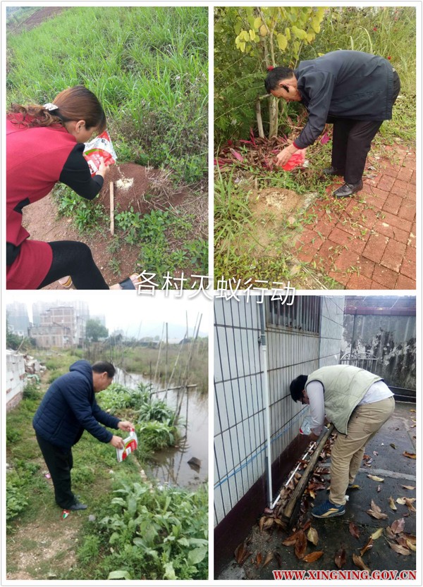 QQ圖片20170329104838.jpg