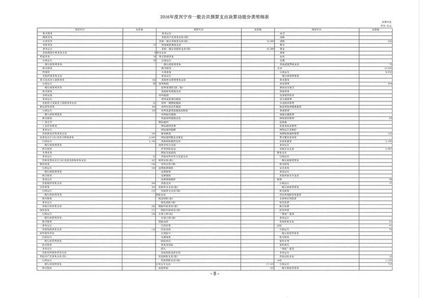 2016年度興寧市一般公共預(yù)算支出決算功能分類明細(xì)表02.jpg