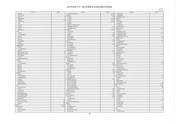 2016年度興寧市一般公共預(yù)算支出決算功能分類明細(xì)表03.jpg