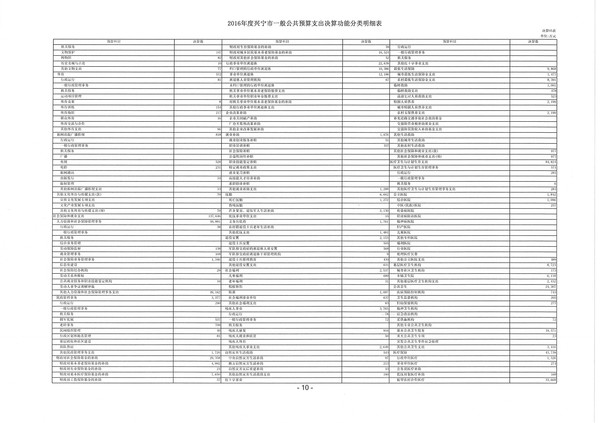 2016年度興寧市一般公共預(yù)算支出決算功能分類明細(xì)表04.jpg
