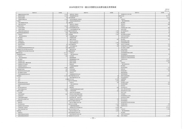 2016年度興寧市一般公共預(yù)算支出決算功能分類明細(xì)表05.jpg