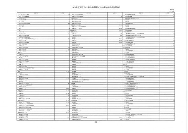 2016年度興寧市一般公共預(yù)算支出決算功能分類明細(xì)表06.jpg