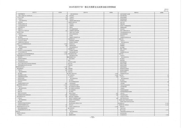 2016年度興寧市一般公共預(yù)算支出決算功能分類明細(xì)表07.jpg
