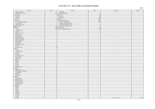 2016年度興寧市一般公共預(yù)算支出決算功能分類明細(xì)表08.jpg