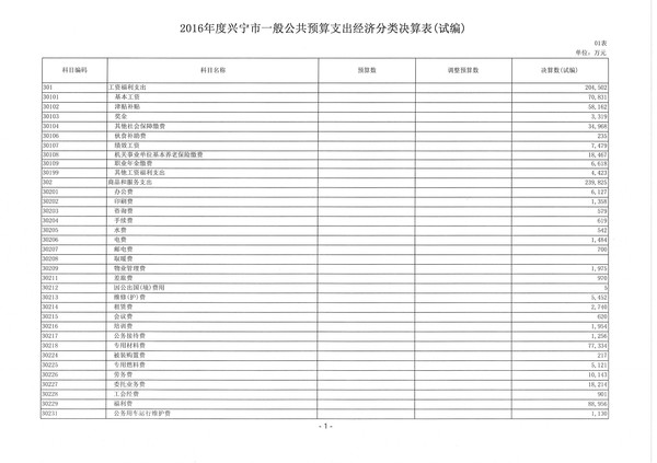 2016年度興寧市一般公共預(yù)算支出經(jīng)濟(jì)分類決算表01.jpg