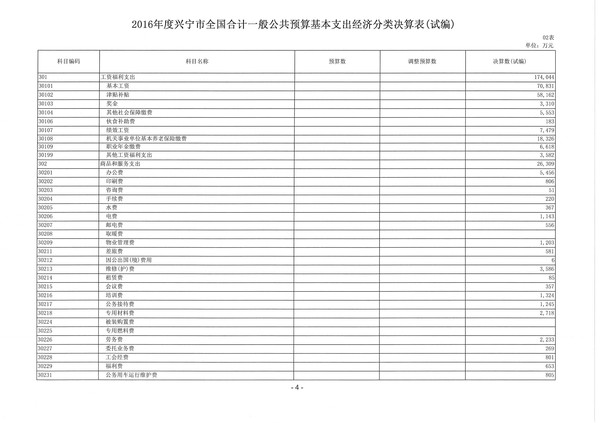 2016年度興寧市一般公共預(yù)算基本支出經(jīng)濟分類決算表01.jpg