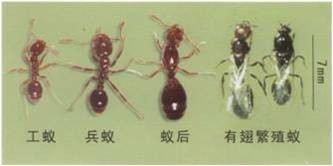 圖片1.jpg