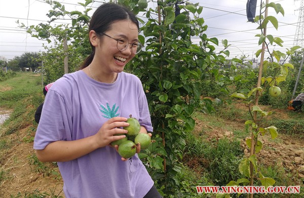 微信圖片_20180827164146_副本.jpg